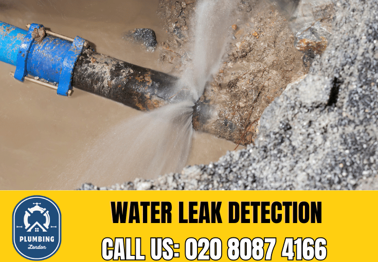 leak detection Ealing